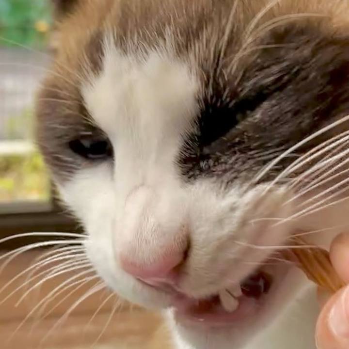 D4f51f0a ea4e 451b 940c 88667f8211a7 1734403243302