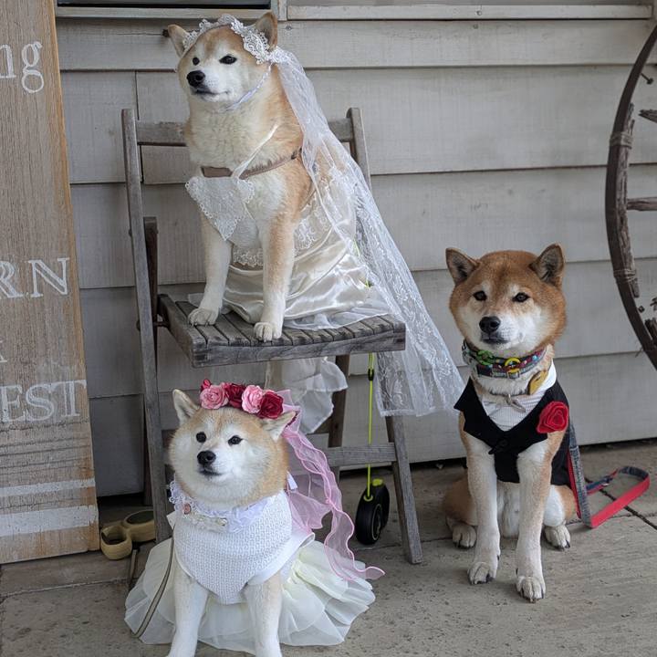 D4f51fd8 2686 4d72 8fbb 2224390def1a 1740922201614