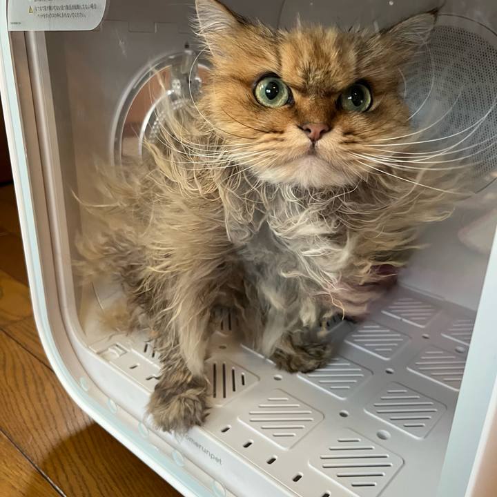 D4f534a1 7665 4062 aba6 3b4cd5e51db6 1683179368503