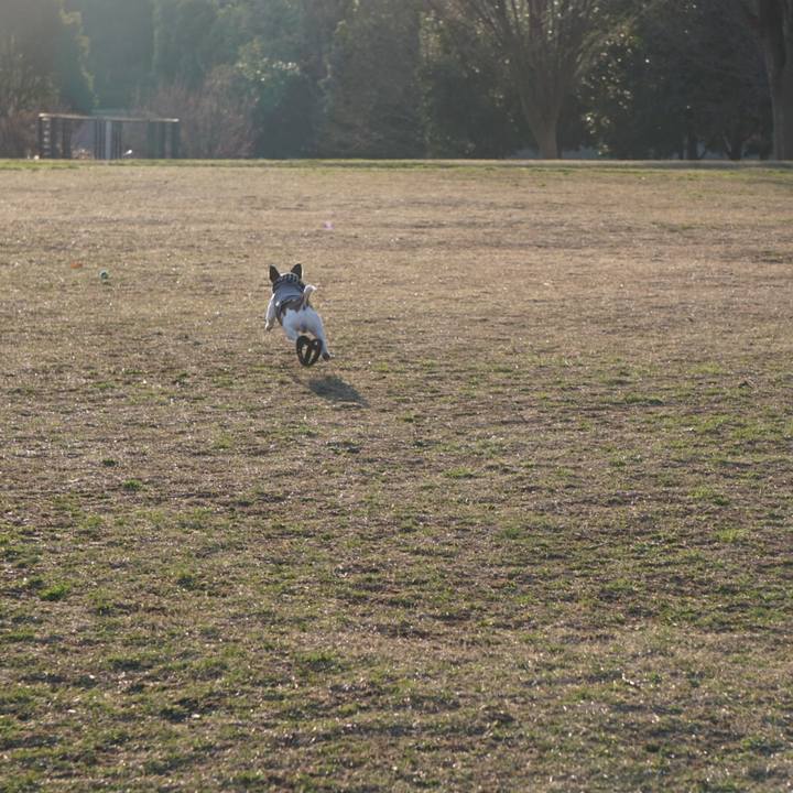 D4f57243 6d54 4c90 ad9f aff3a6a1b8c4 1520809348692