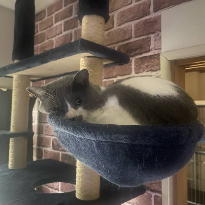 D4f59f79 58ae 4797 8a4c 0d3cdc052415 1678662355612