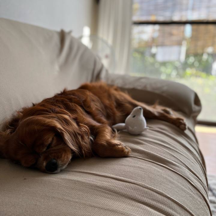 D4f5c44e 1f5a 4551 b743 9720df8ccc8b 1667647961428