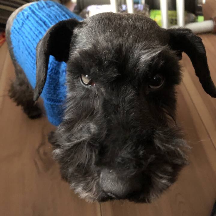 D4f5ce9b f53a 48cf b690 600635e806b3 1547940147108