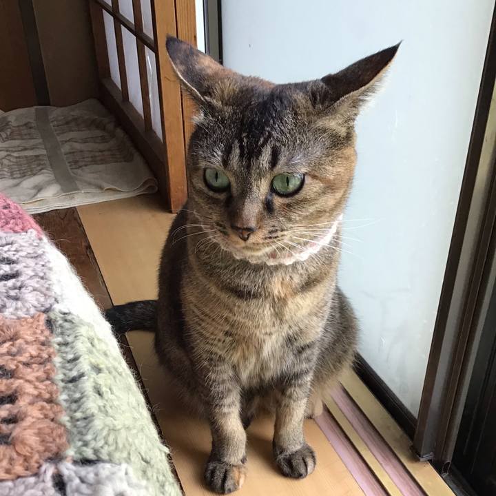 D4f60d2d 5d25 45e7 bf9d e28eba718299 1662268790394