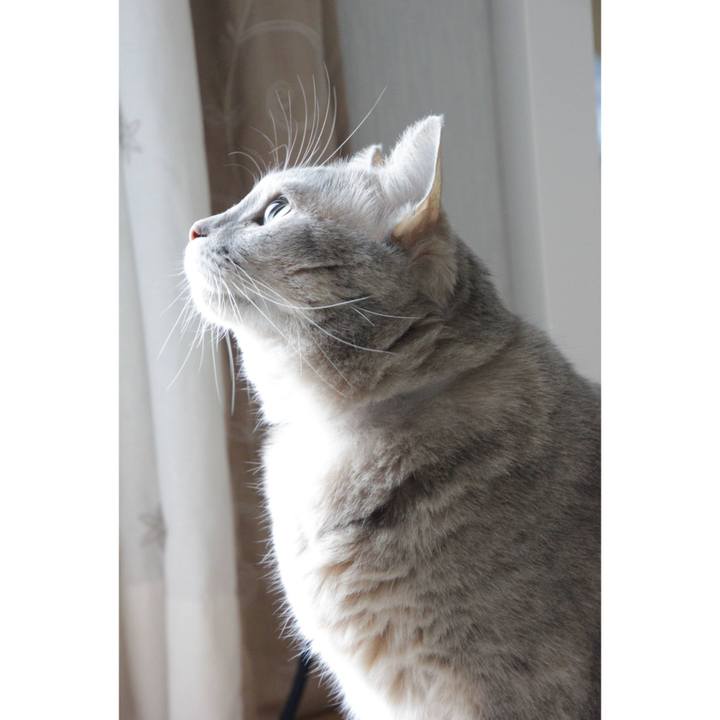 D4f620ee 841a 42a1 8980 24b5ba8676c5 1635739138801