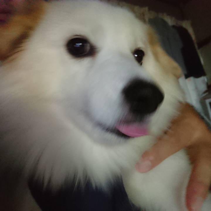 D4f699c8 72b9 4024 8b9f c393b8e1e48b 1509916319577