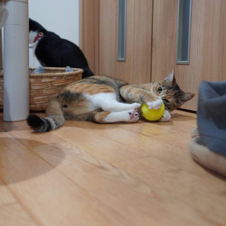 D4f69c3e 70f0 414c 867a f45023b22165 1591015140290