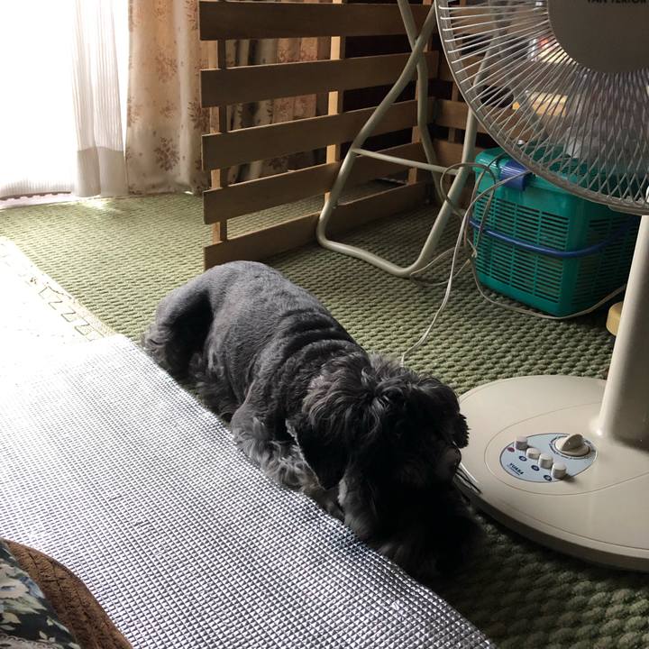 D4f6e9fa aedb 44b2 a56f 4efd10107661 1662179984579