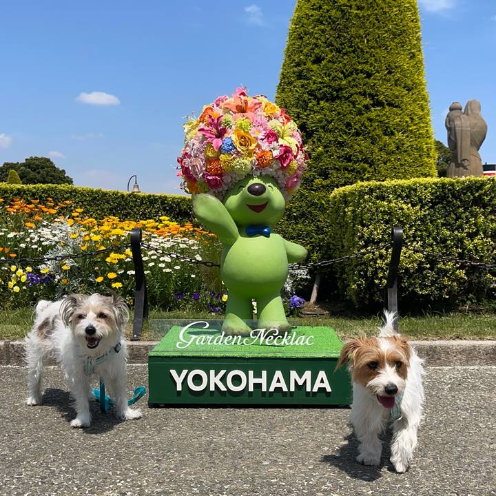 D4f6ff66 be2e 407f 87ec 26331ab6ee98 1776719079849