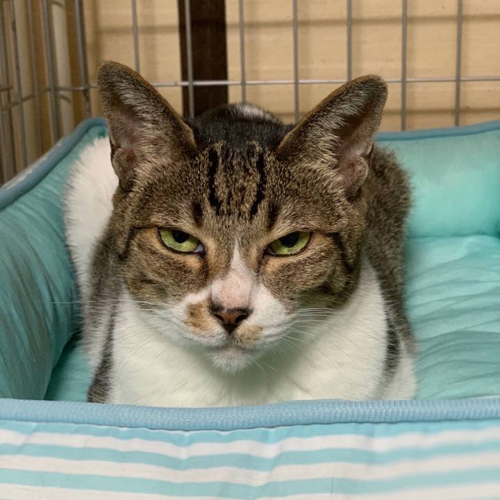 D4f7221f 9c0f 4505 bd70 04ad89ec45f6 1538613624823