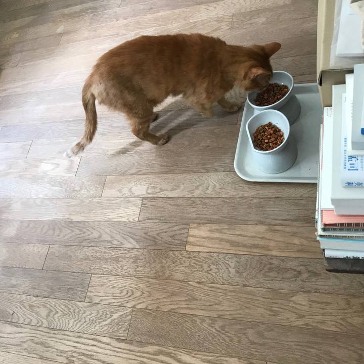 D4f74266 f9a3 4593 974f 8f8c42a1fa4e 1564879312672