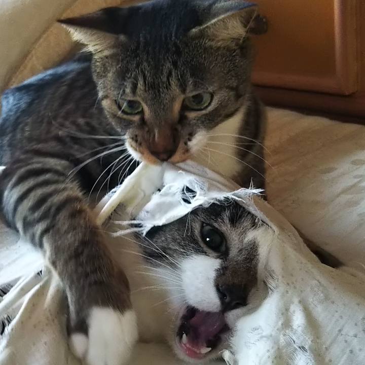 D4f7877c acaa 4f4c a504 4db043ef1d61 1612940225570