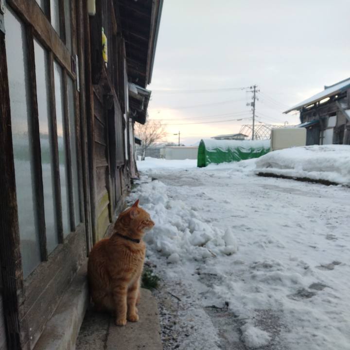 D4f78789 3ef5 4f36 b2b0 d5ef31e02f68 1674340274554