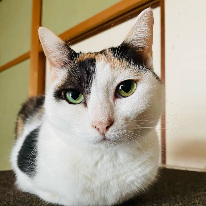 D4f790a0 d517 4681 a1fb 2422d2404f12 1637718458809