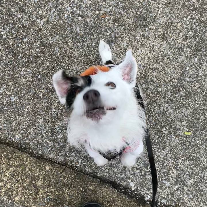 D4f79462 6382 44c0 9bc5 32cd214661d8 1741224882614