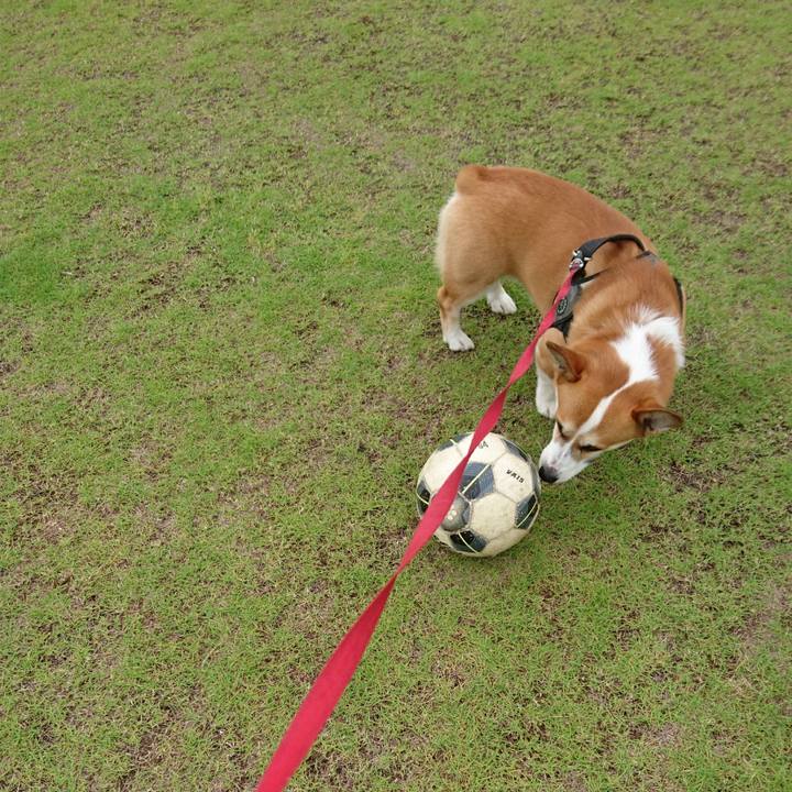 D4f7c7d1 ea4b 484a 9074 0d93507477a0 1623976128707