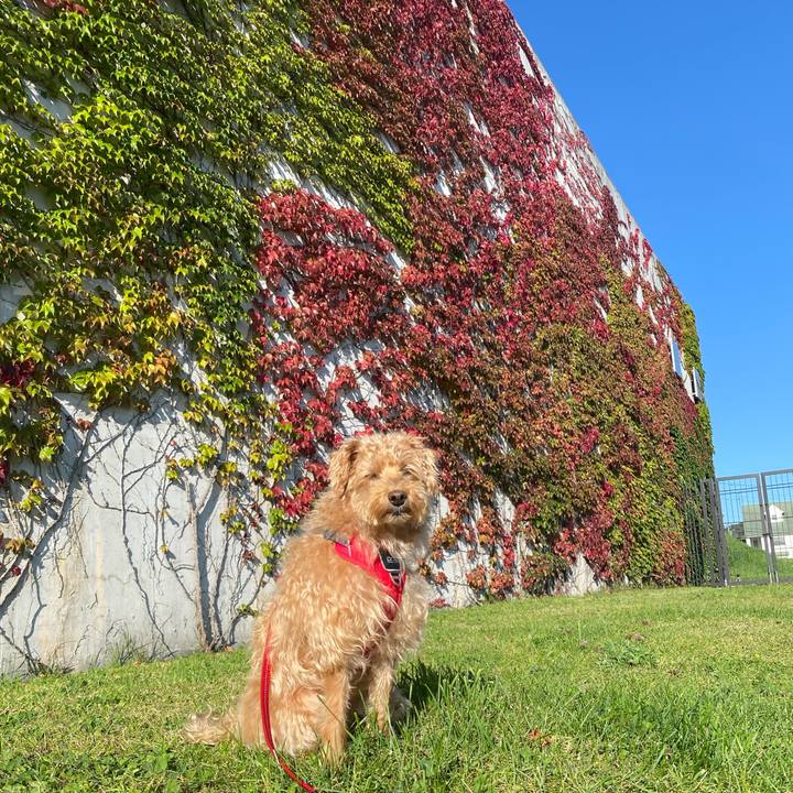 D4f7ea3f 074e 4b45 9f75 826ebf5507d1 1696724469467