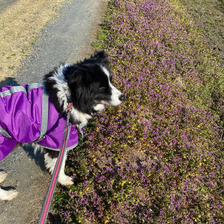 D4f7ed48 92a9 4a46 8a7c 3d3348a938a6 1677975529375