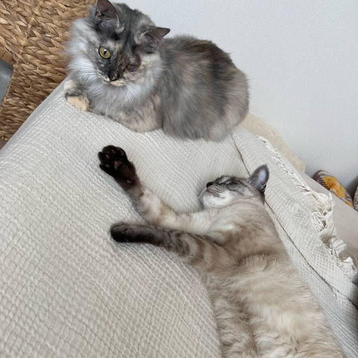 D4f7f00f 1966 4d63 b7dc 5292a72b6f49 1750640899151