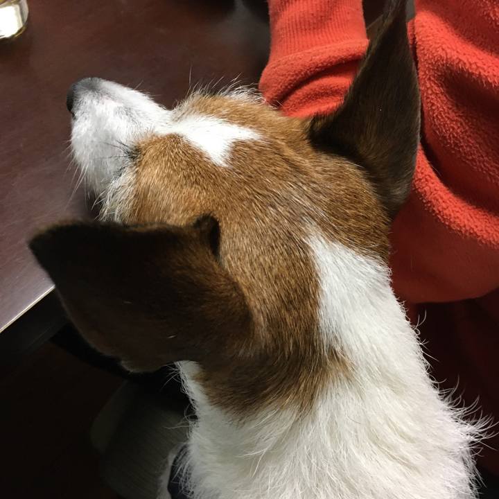 D4f80898 b64d 4e0d 9fc6 23c582f3841f 1578630435879