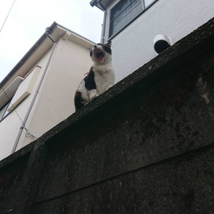 D4f856b7 3751 4da6 867a a473b5b48c3b 1562759054411