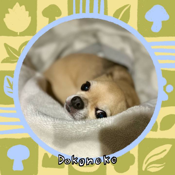 D4f8581a a1d5 4e56 8e2b 8eb032a5d79f 1762132547439