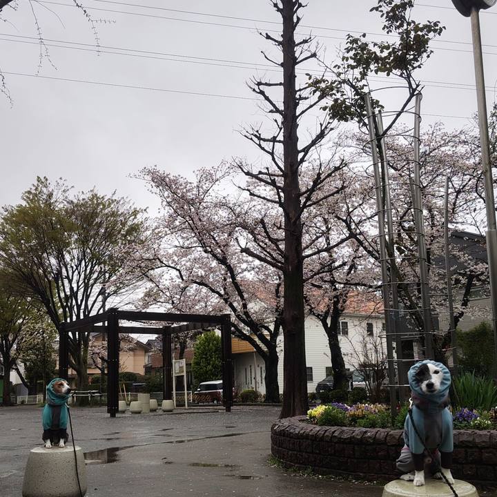 D4f8a231 9f7b 41c3 8318 1dea2f112e64 1775083822920