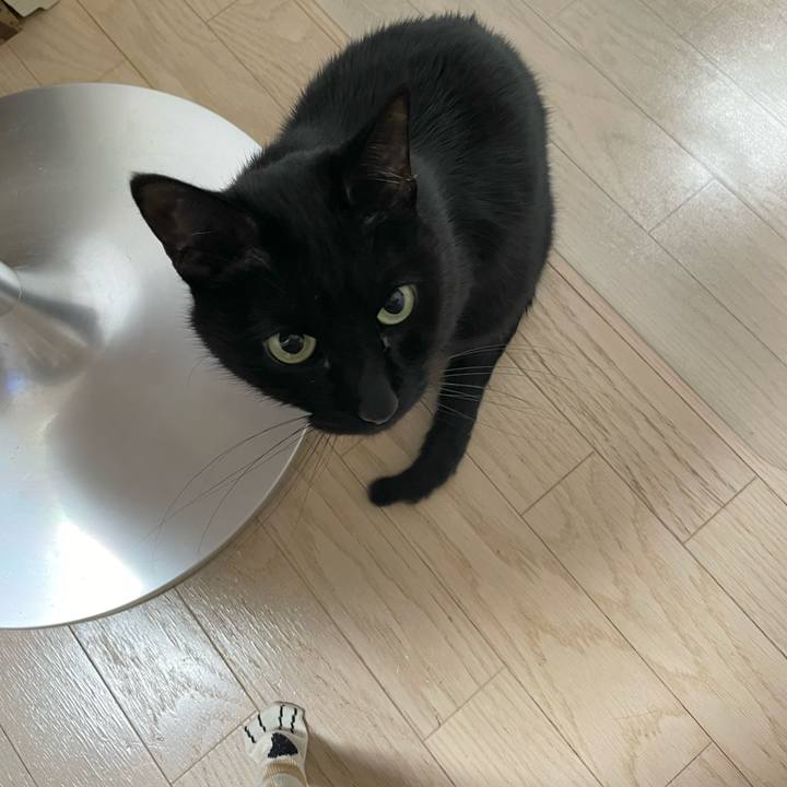 D4f8aed1 18e7 499c b498 51e8994899fd 1643025855013