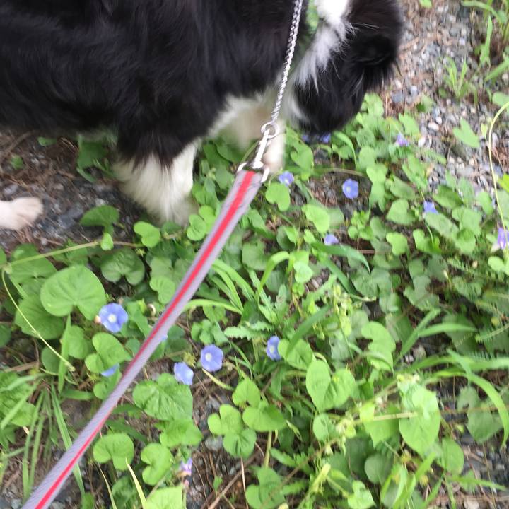 D4f8c697 29a2 4222 88ab 2a763dc5e184 1567818295637