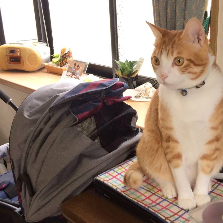 D4f8dcda 61d5 4070 a652 b51432e940d3 1508030581014