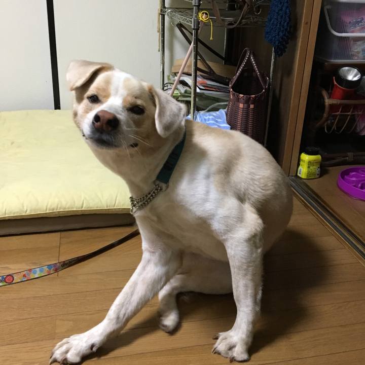 D4f9067b bc89 4032 84ed 7d66c8da63cf 1537176813387