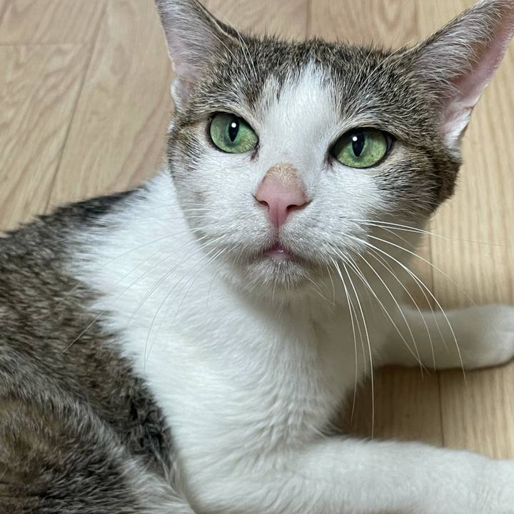 D4f9195a 40f5 4a18 bb9c ae3cd3ed8b1b 1625977686487