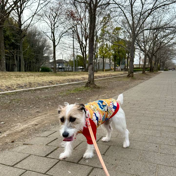 D4f94bff d096 4f5b 8e05 74474756dda4 1711861196465