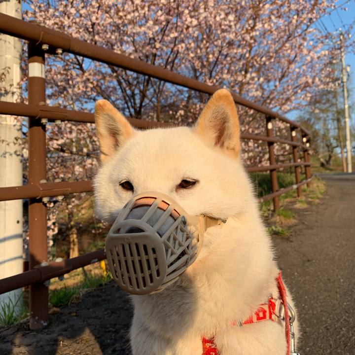 D4f9768a 4d36 47b8 b229 17d88b4a5a14 1556584927676