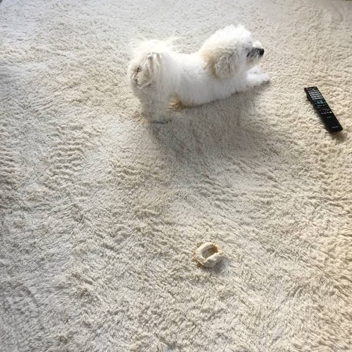 D4f98237 73ca 4b78 8c08 6a132c65c040 1545347824289