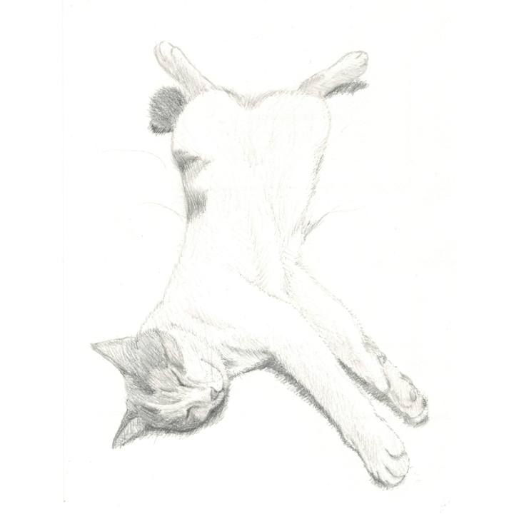 D4f9892f c19f 438e 8202 22a77a03b1fa 1538747549734