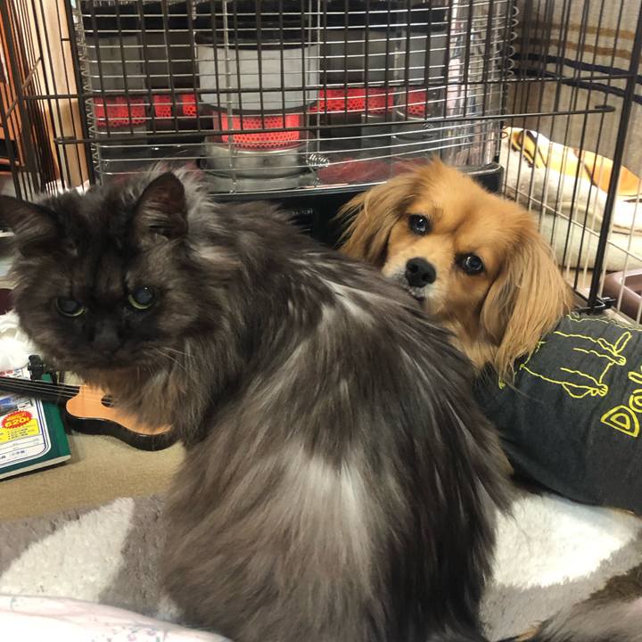 D4f98d02 f5bc 4d1c 952a 08b9c792523c 1543961260931