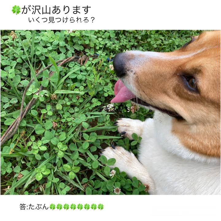 D4f9b9d2 1dfa 4843 b03b b5f88ab1df91 1655856115585