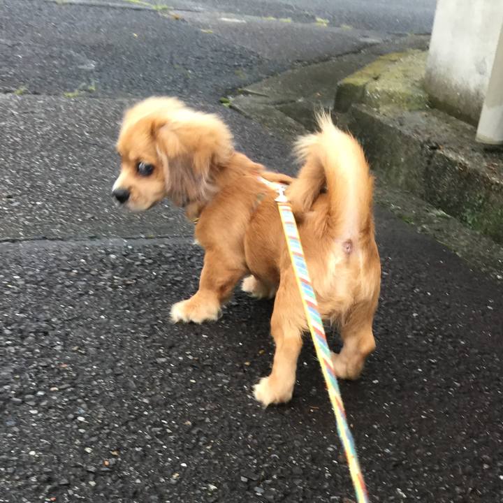 D4f9d75a 5d81 4f58 be84 8361ece0ac03 1535840812827