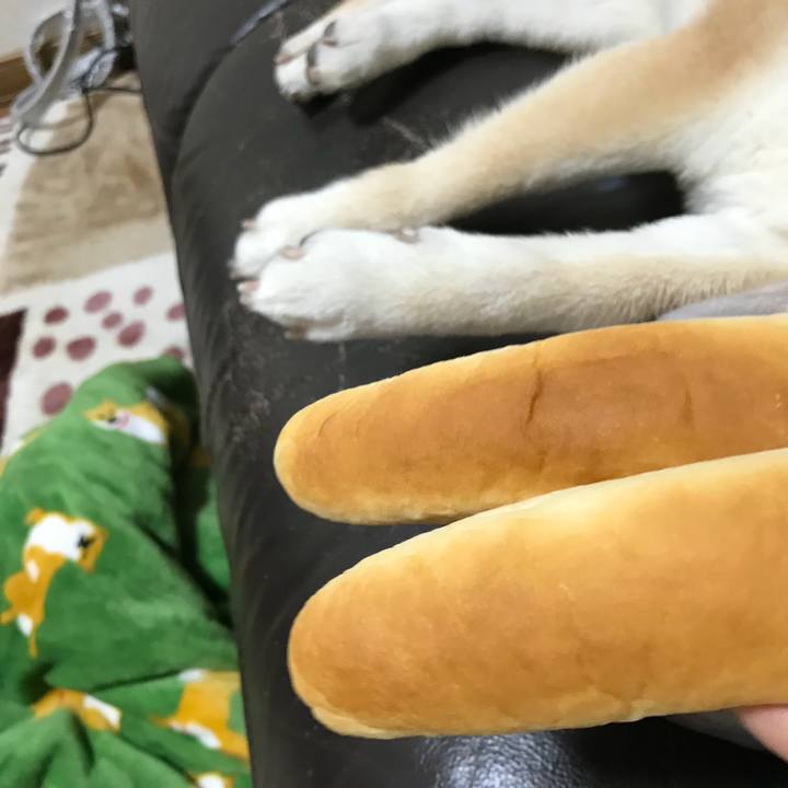 D4fa070e af48 45d2 9369 2108c5b8933b 1520997482918