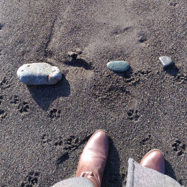 D4fa1406 0dbd 4490 ab9b 70a68789910d 1517221259911