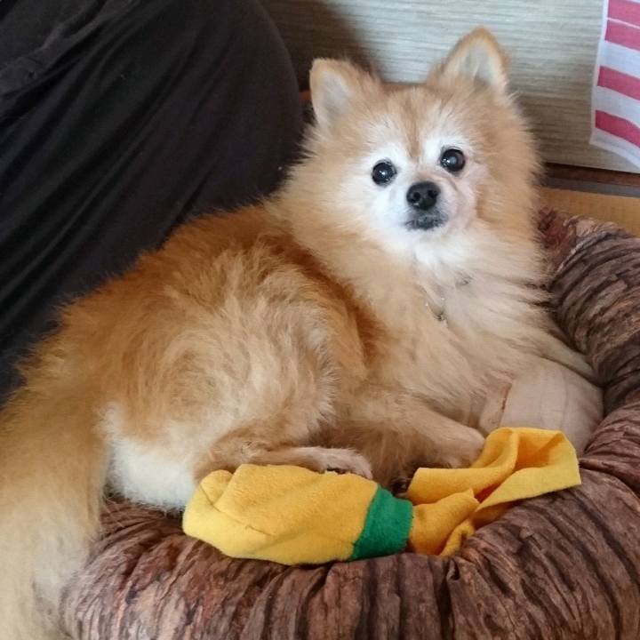 D4fa4ba9 2276 4373 b54e b79497699fa1 1569197444085