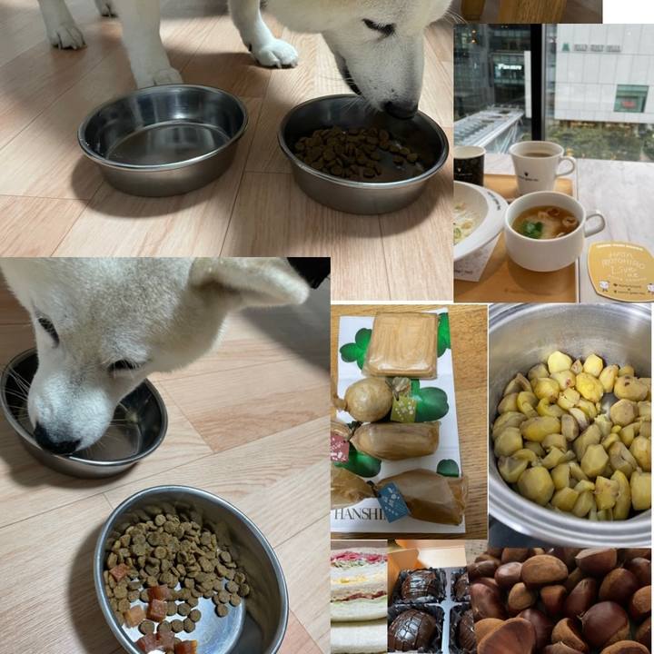 D4fa6ecf 6feb 4c3d a3bb 0ad989eee8b5 1665622886951