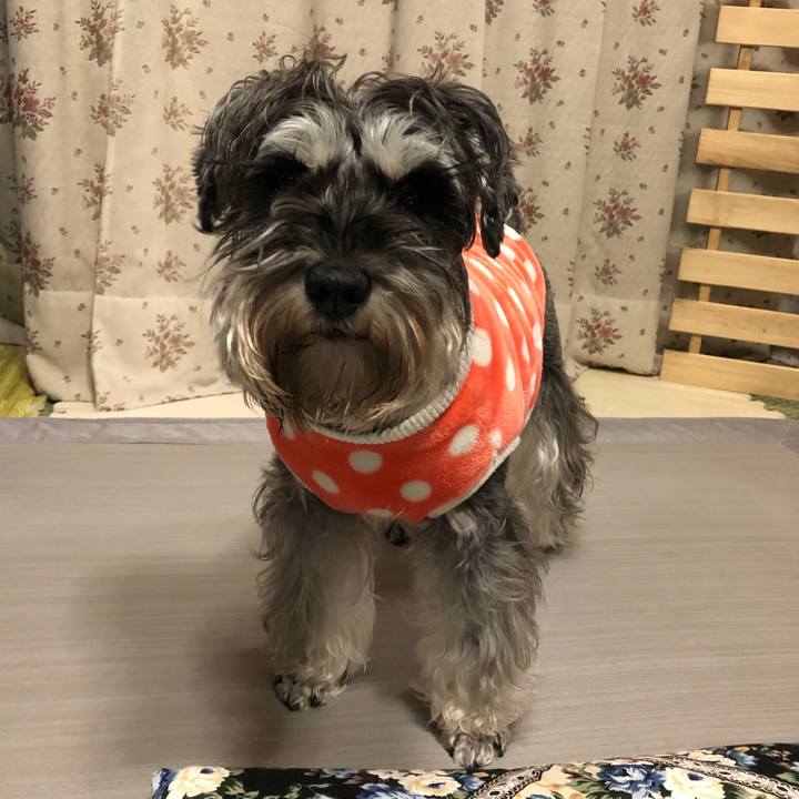 D4fa71e7 3e1f 49df bc9d b3c4c01d7b81 1581649500900