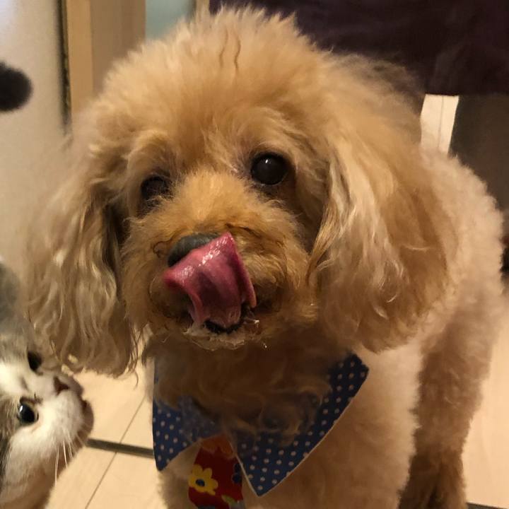 D4faa044 d5c0 4f54 a100 3e259f037820 1570716159420