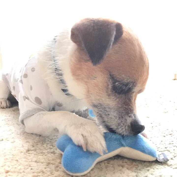 D4fac5de 3a87 4eb6 ae12 cc214f9f0197 1560422710140