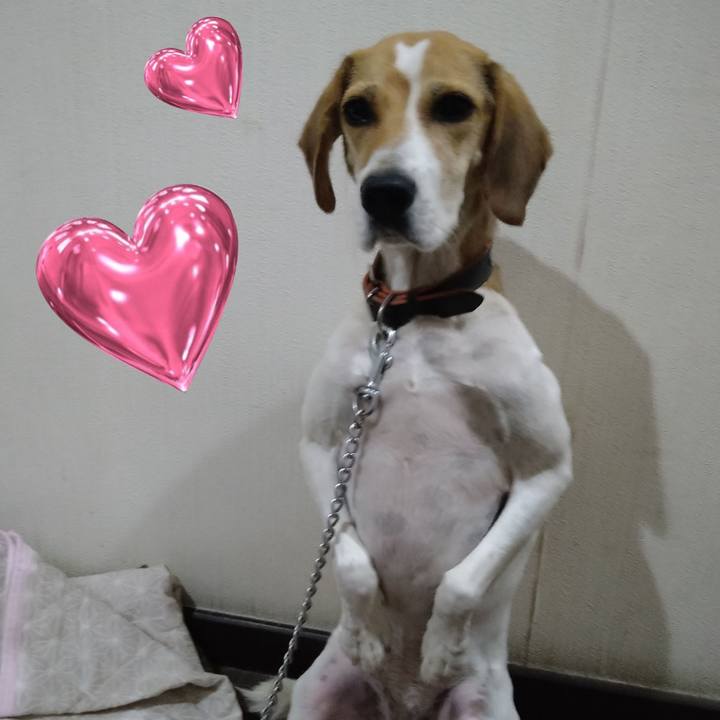 D4fac735 ad15 4ac7 b61a 2c22944f2412 1634210478738