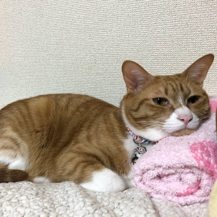 D4faee4f a4f6 4bc3 9fce 8358f9feb312 1583667330224