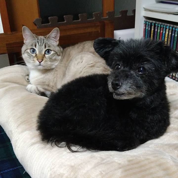 D4fb0557 8ba1 4ee2 b7db 889e7ffd970f 1647169205795