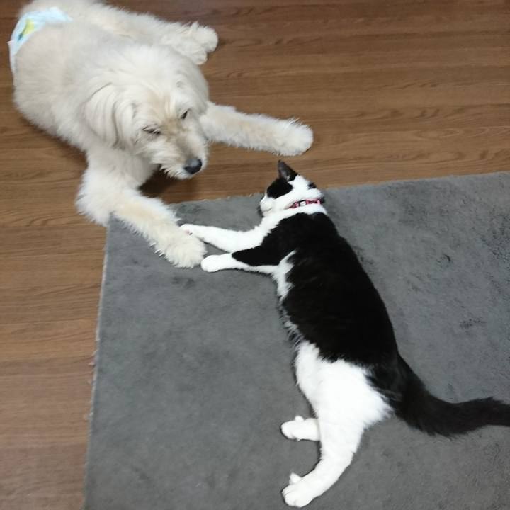 D4fb108c f650 4c37 9955 92fe2141c6ed 1594028567012